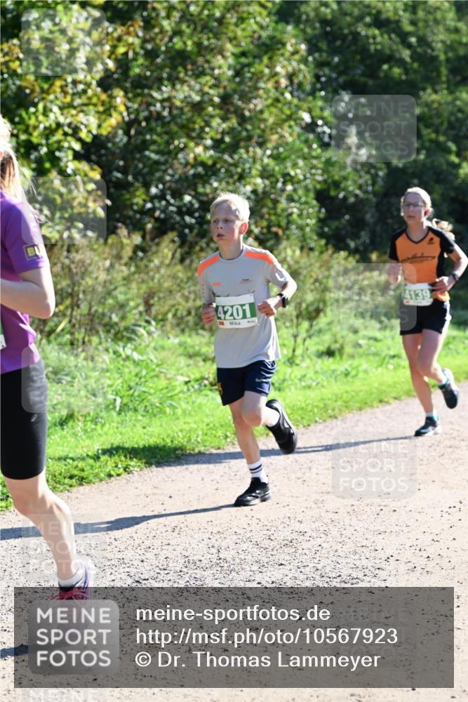 27.09.2026 - 34. Volkslauf durch das schöne Alstertal Dr. Thomas Lammeyer http://msf.ph/oto/10567923 27.09.2026 10:49:30 Laufen 4201, 4139 meine-sportfotos.de