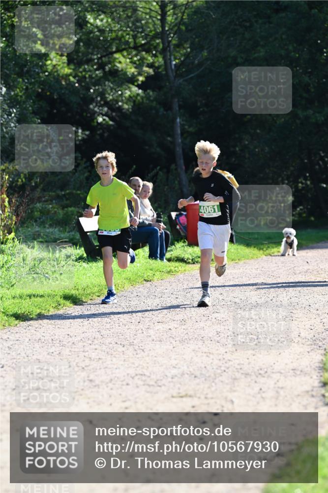 27.09.2026 - 35. Volkslauf durch das schöne Alstertal Dr. Thomas Lammeyer http://msf.ph/oto/10567930 27.09.2026 10:49:34 Laufen 4061 meine-sportfotos.de