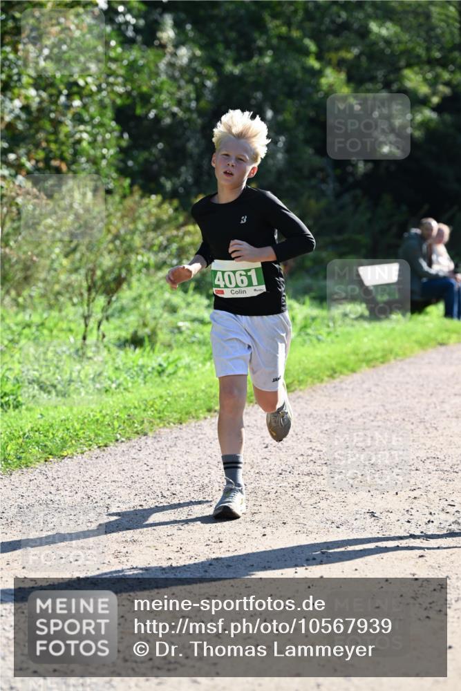 27.09.2026 - 35. Volkslauf durch das schöne Alstertal Dr. Thomas Lammeyer http://msf.ph/oto/10567939 27.09.2026 10:49:37 Laufen 4061 meine-sportfotos.de
