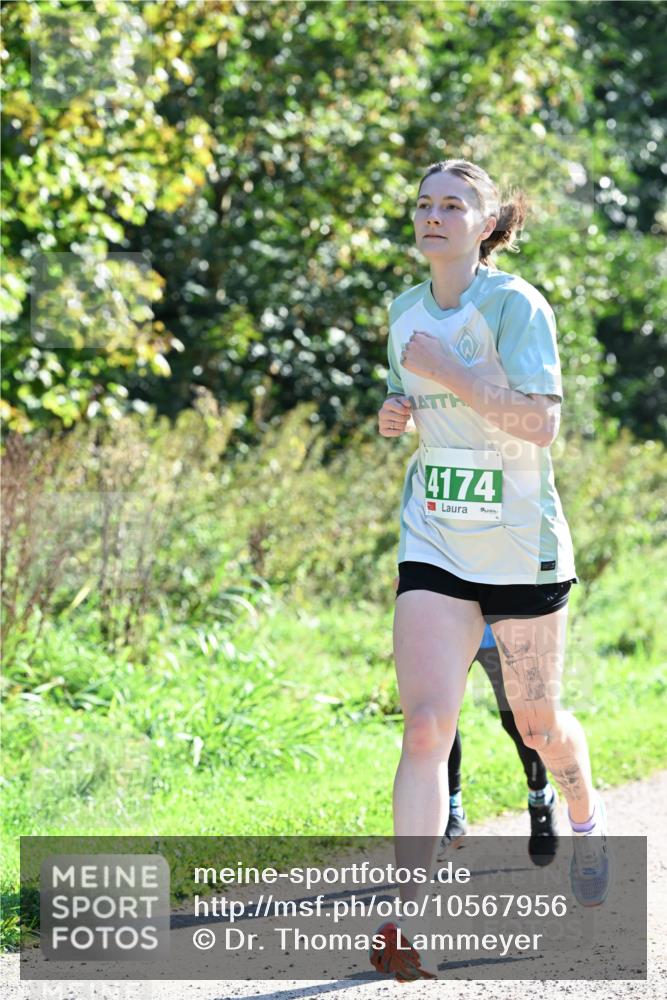 27.09.2026 - 35. Volkslauf durch das schöne Alstertal Dr. Thomas Lammeyer http://msf.ph/oto/10567956 27.09.2026 10:49:52 Laufen 4174 meine-sportfotos.de