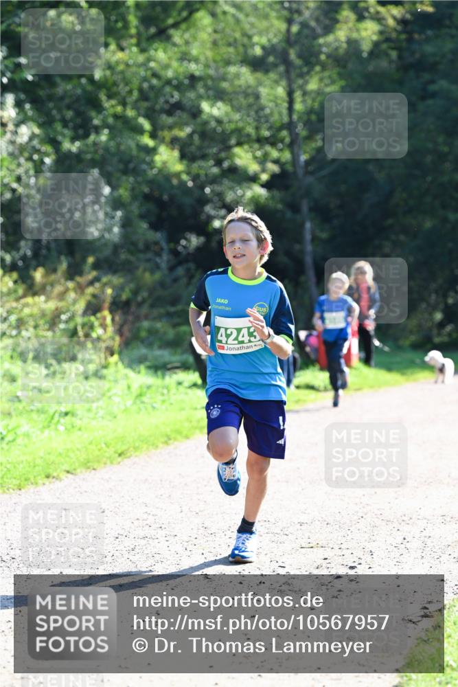 27.09.2026 - 35. Volkslauf durch das schöne Alstertal Dr. Thomas Lammeyer http://msf.ph/oto/10567957 27.09.2026 10:49:53 Laufen 4243 meine-sportfotos.de