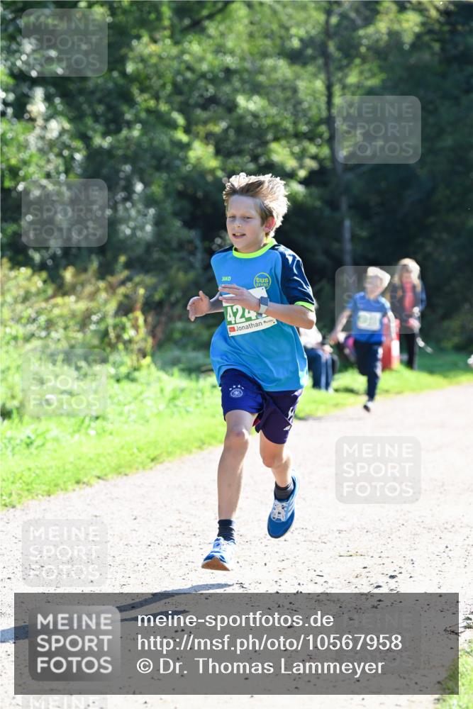27.09.2026 - 35. Volkslauf durch das schöne Alstertal Dr. Thomas Lammeyer http://msf.ph/oto/10567958 27.09.2026 10:49:53 Laufen 424 meine-sportfotos.de