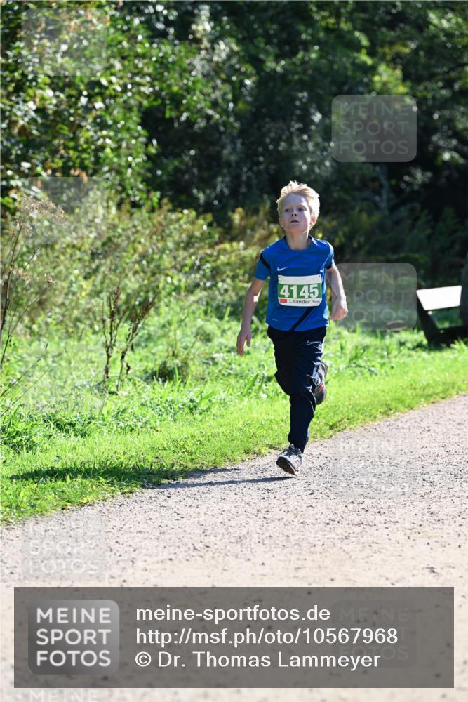27.09.2026 - 35. Volkslauf durch das schöne Alstertal Dr. Thomas Lammeyer http://msf.ph/oto/10567968 27.09.2026 10:49:56 Laufen 4145 meine-sportfotos.de