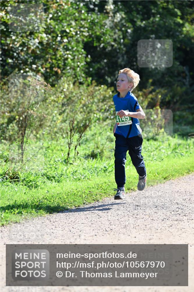 27.09.2026 - 35. Volkslauf durch das schöne Alstertal Dr. Thomas Lammeyer http://msf.ph/oto/10567970 27.09.2026 10:49:56 Laufen 4145 meine-sportfotos.de