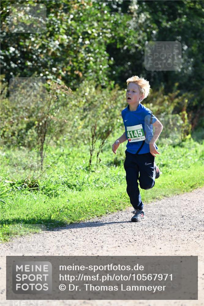 27.09.2026 - 35. Volkslauf durch das schöne Alstertal Dr. Thomas Lammeyer http://msf.ph/oto/10567971 27.09.2026 10:49:56 Laufen 4145 meine-sportfotos.de