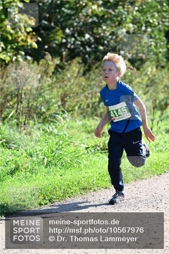 27.09.2026 - 35. Volkslauf durch das schöne Alstertal Dr. Thomas Lammeyer http://msf.ph/oto/10567976 27.09.2026 10:49:57 Laufen 4145 meine-sportfotos.de