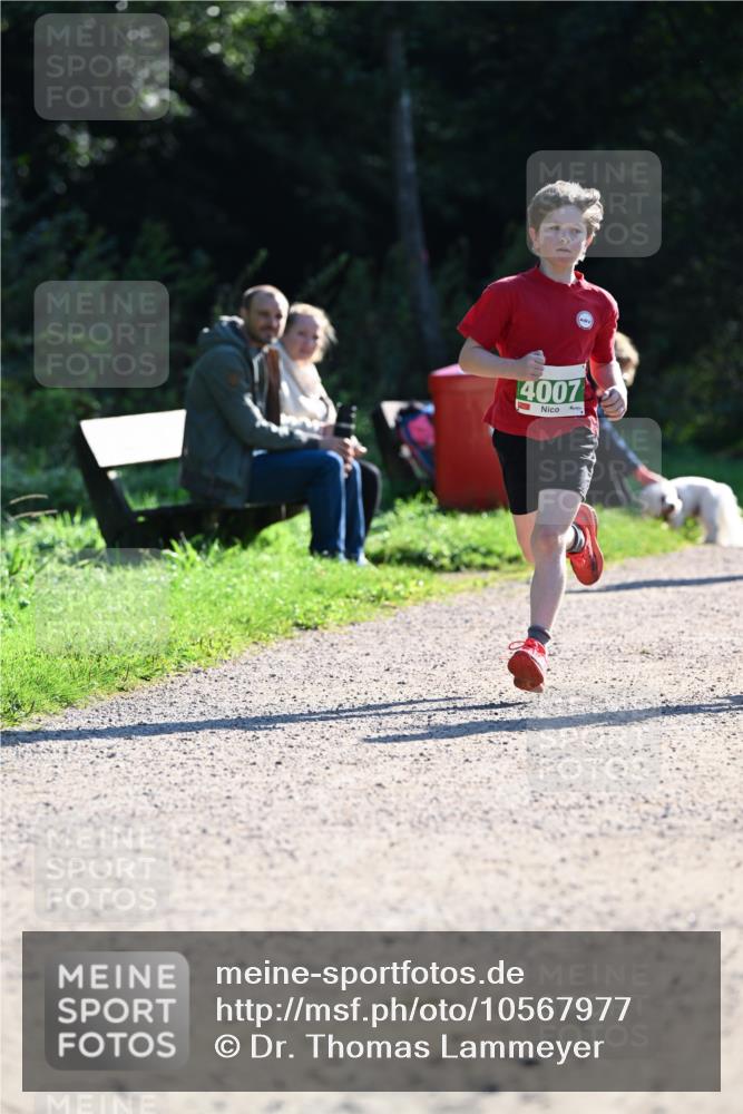 27.09.2026 - 35. Volkslauf durch das schöne Alstertal Dr. Thomas Lammeyer http://msf.ph/oto/10567977 27.09.2026 10:50:07 Laufen 4007 meine-sportfotos.de