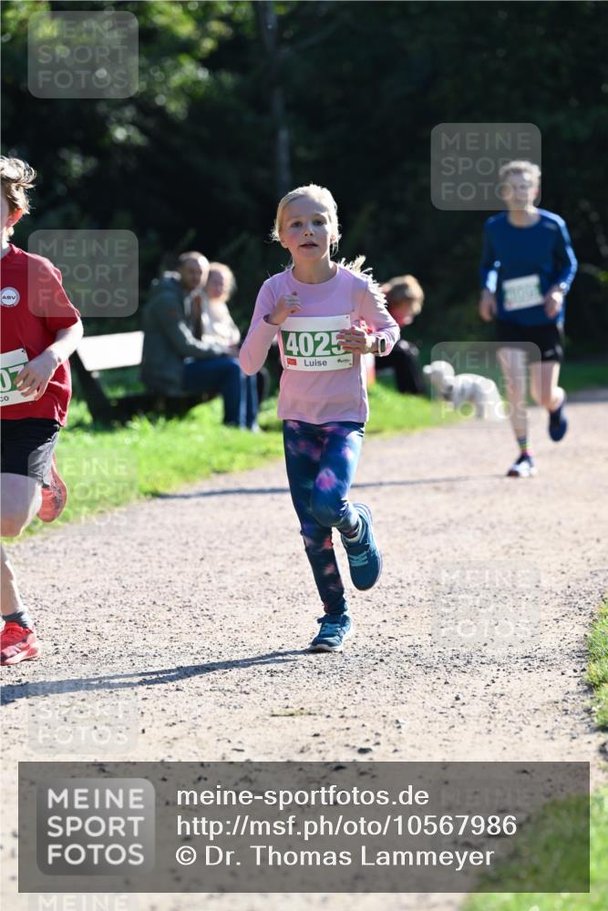 27.09.2026 - 35. Volkslauf durch das schöne Alstertal Dr. Thomas Lammeyer http://msf.ph/oto/10567986 27.09.2026 10:50:08 Laufen 4025 meine-sportfotos.de