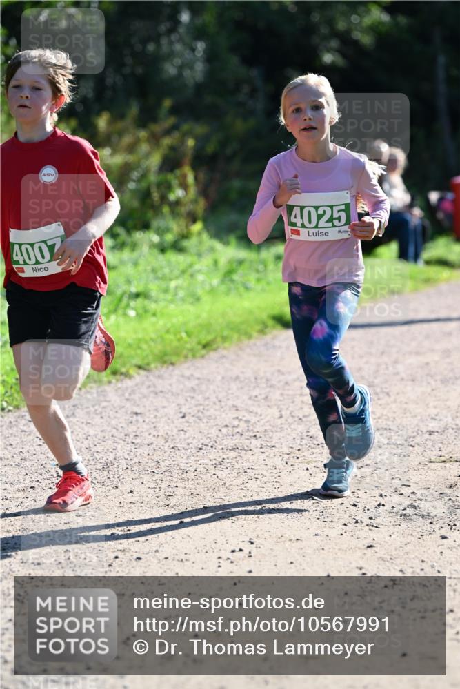 27.09.2026 - 35. Volkslauf durch das schöne Alstertal Dr. Thomas Lammeyer http://msf.ph/oto/10567991 27.09.2026 10:50:09 Laufen 4007, 4025 meine-sportfotos.de