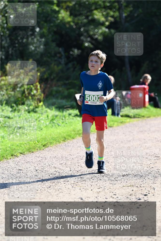 27.09.2026 - 35. Volkslauf durch das schöne Alstertal Dr. Thomas Lammeyer http://msf.ph/oto/10568065 27.09.2026 10:50:34 Laufen 500 meine-sportfotos.de