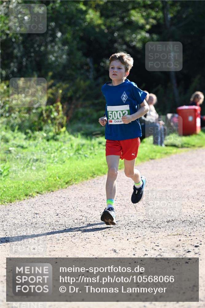 27.09.2026 - 35. Volkslauf durch das schöne Alstertal Dr. Thomas Lammeyer http://msf.ph/oto/10568066 27.09.2026 10:50:34 Laufen 5002 meine-sportfotos.de