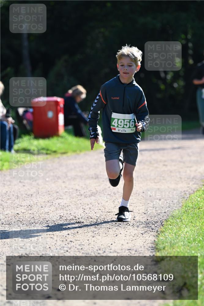 27.09.2026 - 35. Volkslauf durch das schöne Alstertal Dr. Thomas Lammeyer http://msf.ph/oto/10568109 27.09.2026 10:50:54 Laufen 4956 meine-sportfotos.de