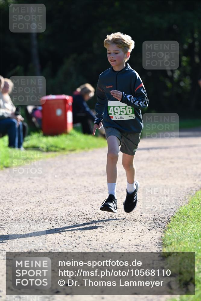 27.09.2026 - 35. Volkslauf durch das schöne Alstertal Dr. Thomas Lammeyer http://msf.ph/oto/10568110 27.09.2026 10:50:54 Laufen 4956 meine-sportfotos.de