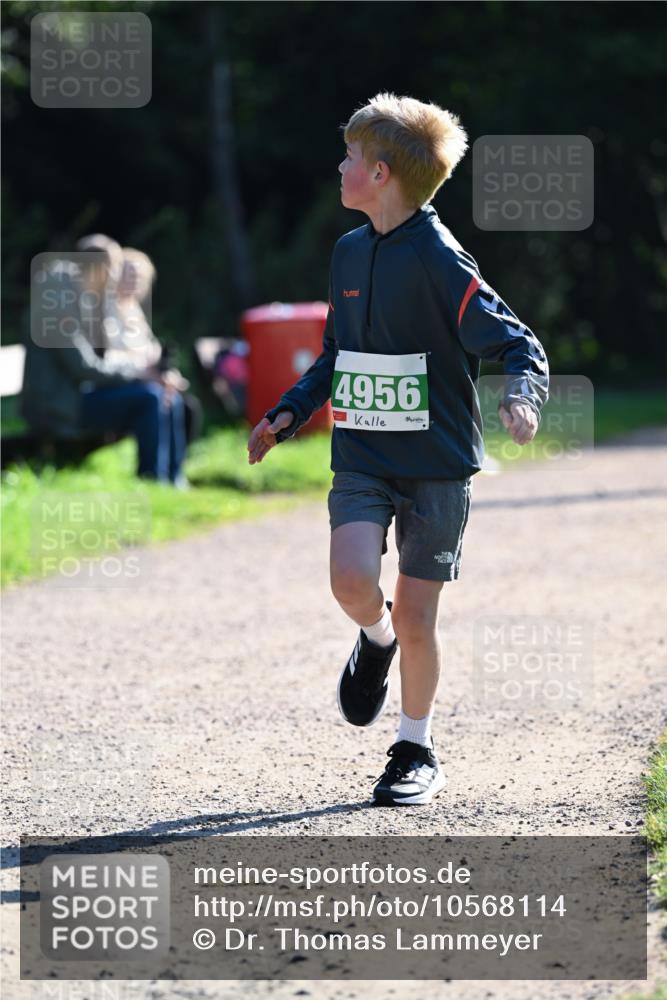 27.09.2026 - 35. Volkslauf durch das schöne Alstertal Dr. Thomas Lammeyer http://msf.ph/oto/10568114 27.09.2026 10:50:54 Laufen 4956 meine-sportfotos.de