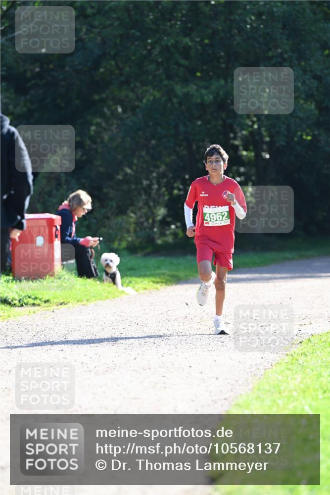27.09.2026 - 35. Volkslauf durch das schöne Alstertal Dr. Thomas Lammeyer http://msf.ph/oto/10568137 27.09.2026 10:51:04 Laufen 4962 meine-sportfotos.de