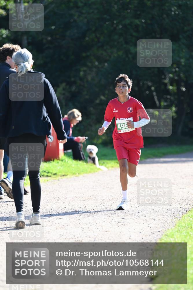 27.09.2026 - 35. Volkslauf durch das schöne Alstertal Dr. Thomas Lammeyer http://msf.ph/oto/10568144 27.09.2026 10:51:05 Laufen 496 meine-sportfotos.de