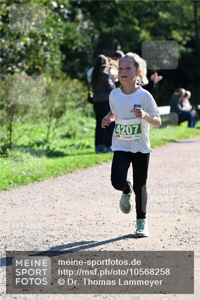 27.09.2026 - 35. Volkslauf durch das schöne Alstertal Dr. Thomas Lammeyer http://msf.ph/oto/10568258 27.09.2026 10:51:28 Laufen 4207 meine-sportfotos.de