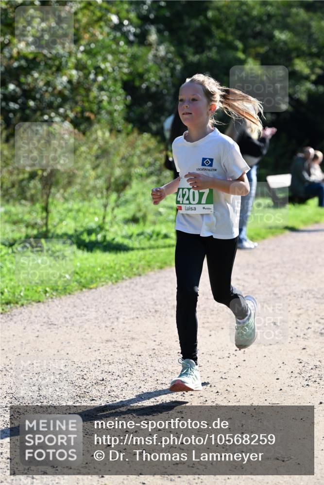 27.09.2026 - 35. Volkslauf durch das schöne Alstertal Dr. Thomas Lammeyer http://msf.ph/oto/10568259 27.09.2026 10:51:28 Laufen 4207 meine-sportfotos.de