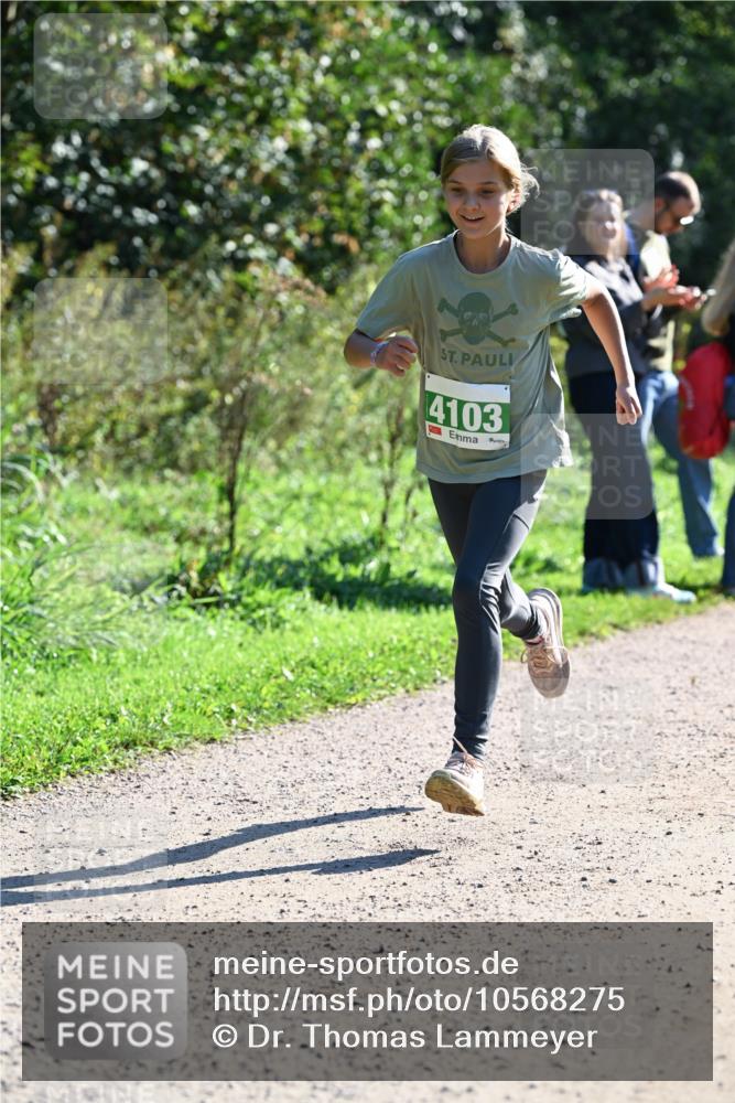 27.09.2026 - 35. Volkslauf durch das schöne Alstertal Dr. Thomas Lammeyer http://msf.ph/oto/10568275 27.09.2026 10:51:32 Laufen 4103 meine-sportfotos.de