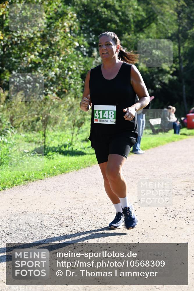 27.09.2026 - 35. Volkslauf durch das schöne Alstertal Dr. Thomas Lammeyer http://msf.ph/oto/10568309 27.09.2026 10:51:39 Laufen 4148 meine-sportfotos.de