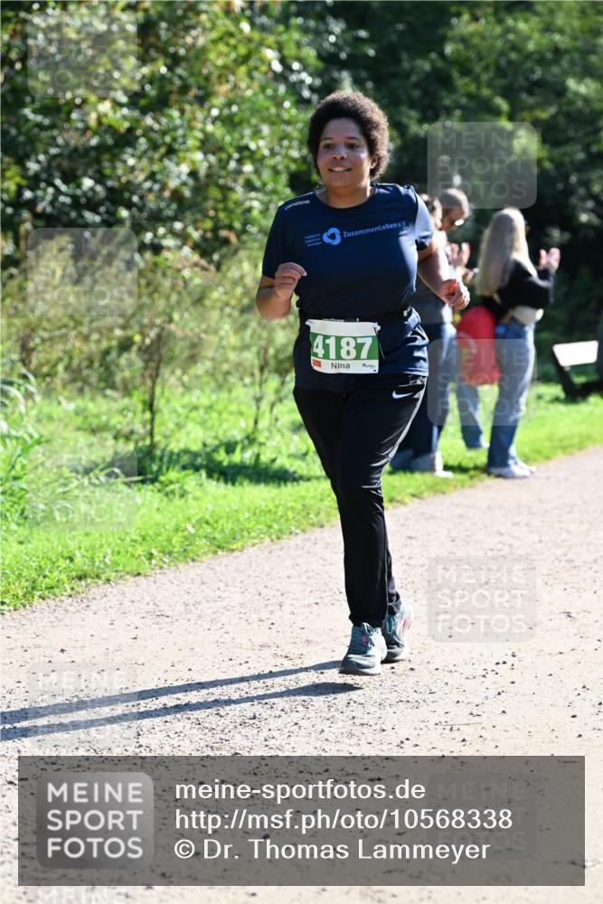 27.09.2026 - 35. Volkslauf durch das schöne Alstertal Dr. Thomas Lammeyer http://msf.ph/oto/10568338 27.09.2026 10:51:49 Laufen 4187 meine-sportfotos.de