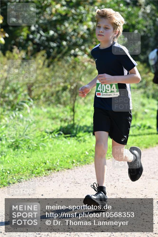 27.09.2026 - 35. Volkslauf durch das schöne Alstertal Dr. Thomas Lammeyer http://msf.ph/oto/10568353 27.09.2026 10:51:53 Laufen 4094 meine-sportfotos.de