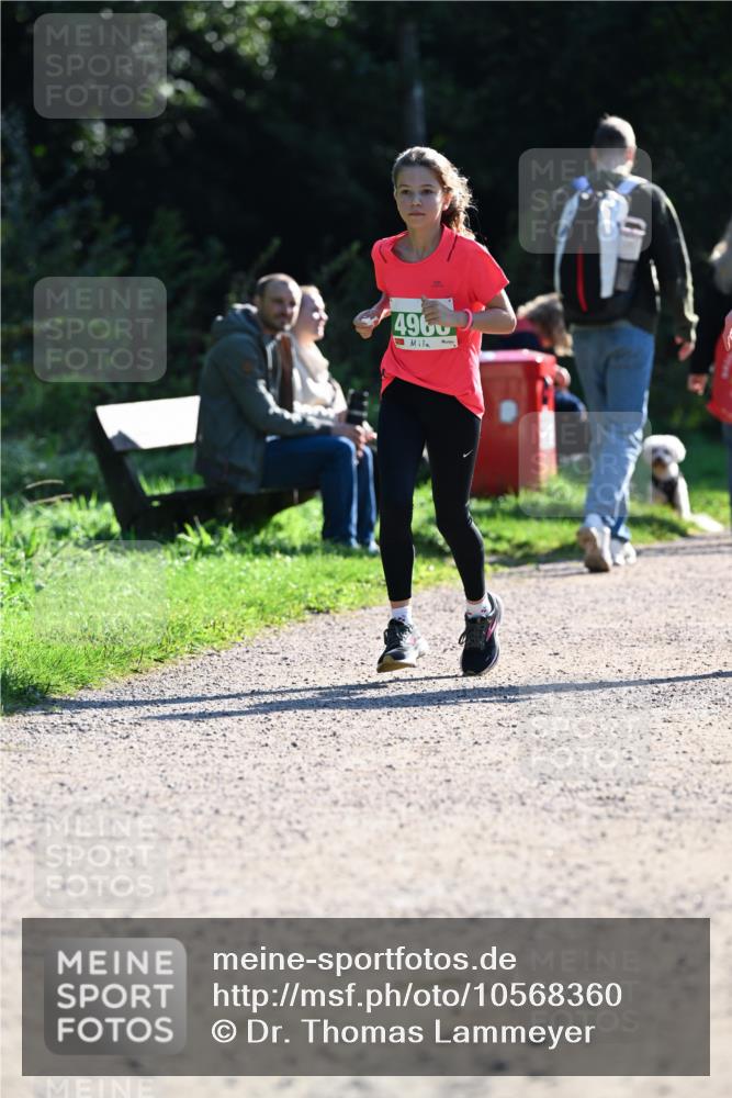 27.09.2026 - 35. Volkslauf durch das schöne Alstertal Dr. Thomas Lammeyer http://msf.ph/oto/10568360 27.09.2026 10:52:18 Laufen 4960 meine-sportfotos.de