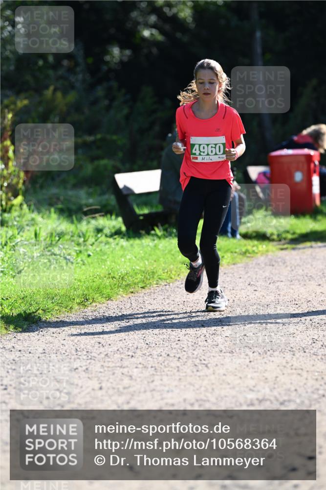 27.09.2026 - 35. Volkslauf durch das schöne Alstertal Dr. Thomas Lammeyer http://msf.ph/oto/10568364 27.09.2026 10:52:19 Laufen 4960 meine-sportfotos.de