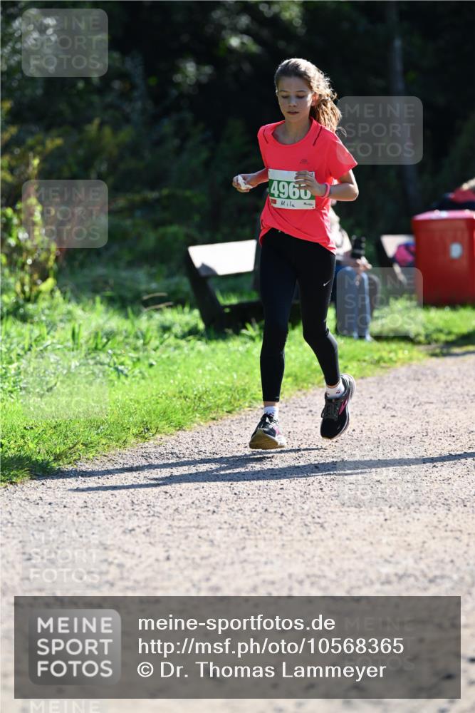 27.09.2026 - 35. Volkslauf durch das schöne Alstertal Dr. Thomas Lammeyer http://msf.ph/oto/10568365 27.09.2026 10:52:19 Laufen 4960 meine-sportfotos.de