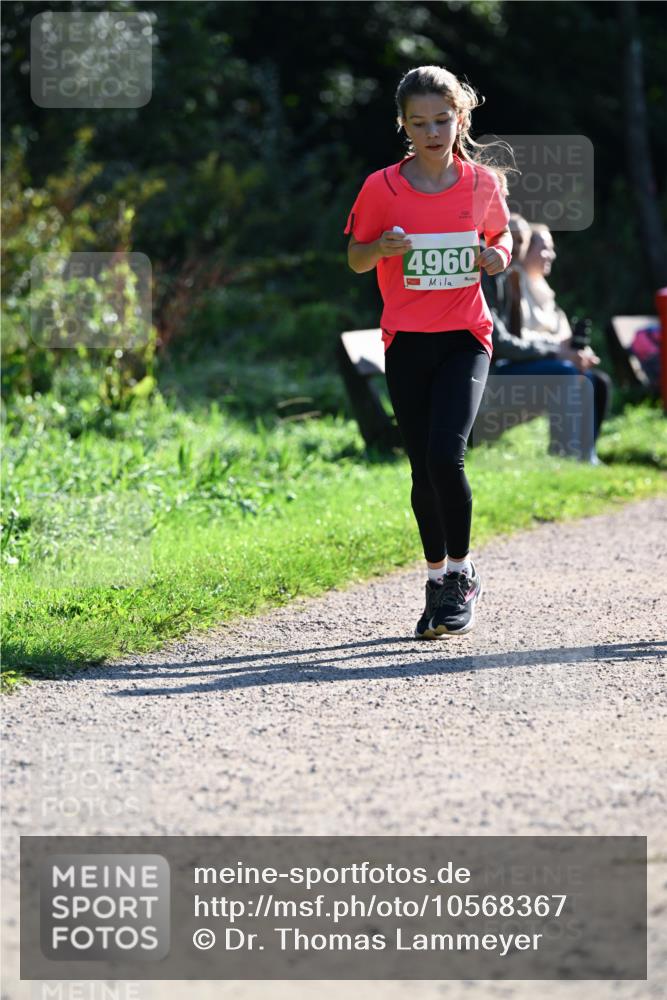 27.09.2026 - 35. Volkslauf durch das schöne Alstertal Dr. Thomas Lammeyer http://msf.ph/oto/10568367 27.09.2026 10:52:19 Laufen 4960 meine-sportfotos.de