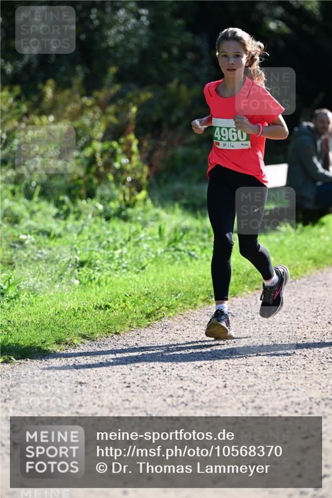 27.09.2026 - 35. Volkslauf durch das schöne Alstertal Dr. Thomas Lammeyer http://msf.ph/oto/10568370 27.09.2026 10:52:20 Laufen 4960 meine-sportfotos.de