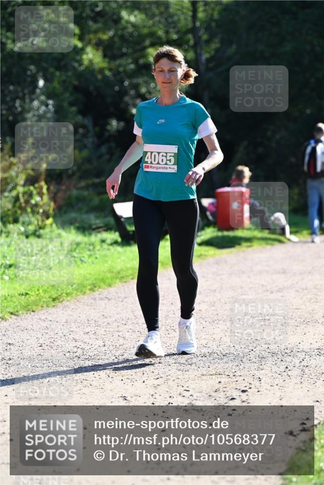 27.09.2026 - 35. Volkslauf durch das schöne Alstertal Dr. Thomas Lammeyer http://msf.ph/oto/10568377 27.09.2026 10:52:21 Laufen 4065 meine-sportfotos.de