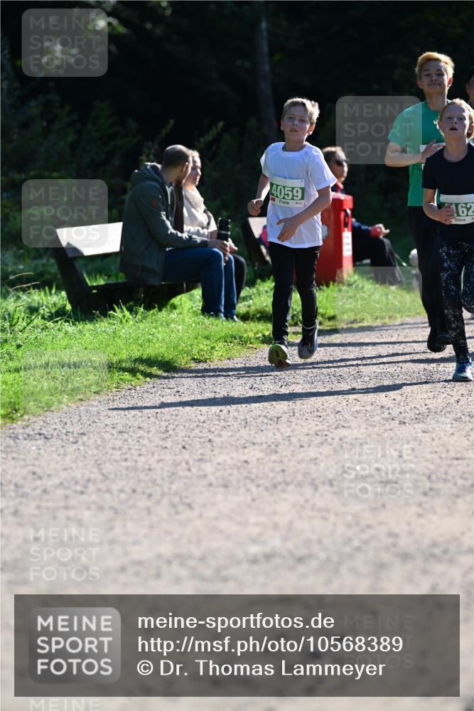 27.09.2026 - 35. Volkslauf durch das schöne Alstertal Dr. Thomas Lammeyer http://msf.ph/oto/10568389 27.09.2026 10:52:36 Laufen 4059, 62 meine-sportfotos.de