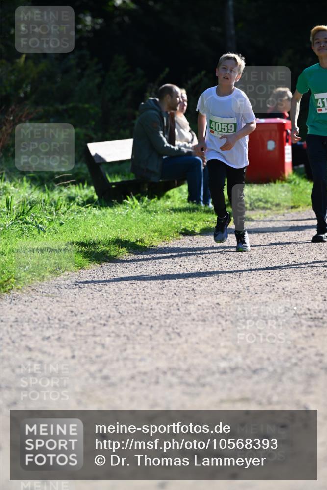27.09.2026 - 35. Volkslauf durch das schöne Alstertal Dr. Thomas Lammeyer http://msf.ph/oto/10568393 27.09.2026 10:52:36 Laufen 41, 4059 meine-sportfotos.de