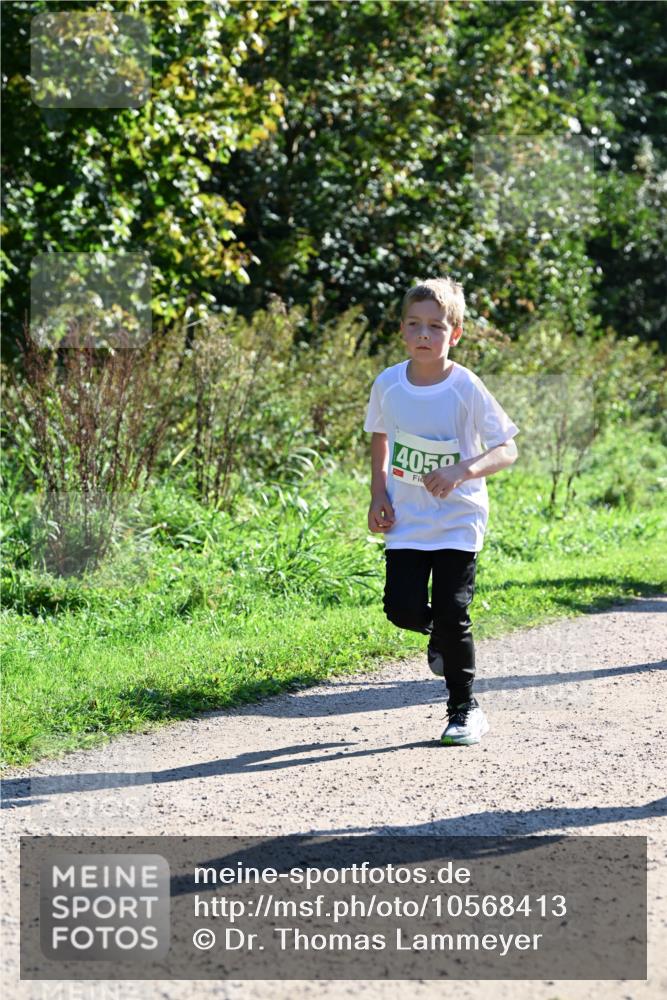 27.09.2026 - 35. Volkslauf durch das schöne Alstertal Dr. Thomas Lammeyer http://msf.ph/oto/10568413 27.09.2026 10:52:40 Laufen 4050 meine-sportfotos.de