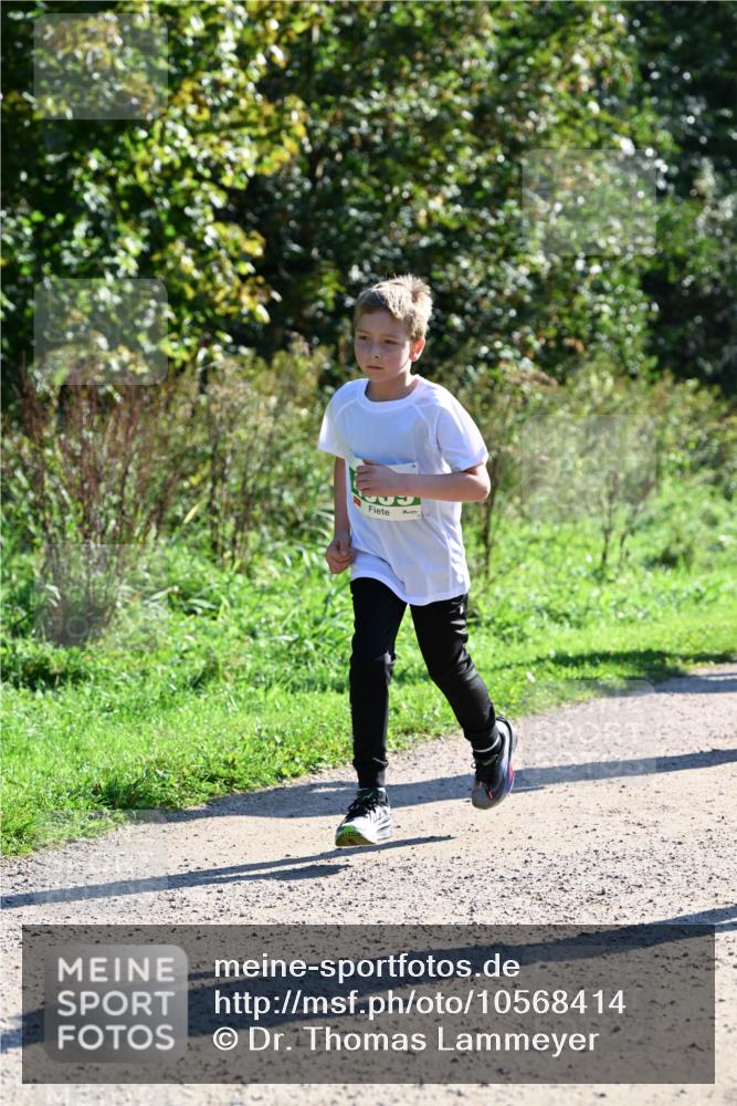 27.09.2026 - 35. Volkslauf durch das schöne Alstertal Dr. Thomas Lammeyer http://msf.ph/oto/10568414 27.09.2026 10:52:40 Laufen  meine-sportfotos.de