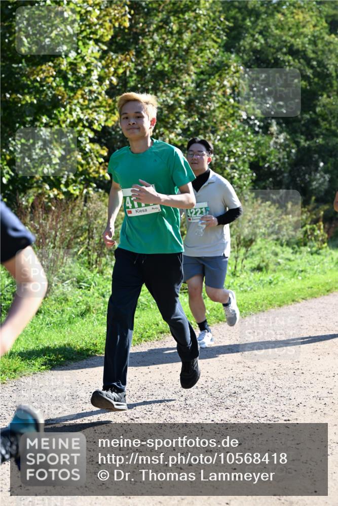 27.09.2026 - 35. Volkslauf durch das schöne Alstertal Dr. Thomas Lammeyer http://msf.ph/oto/10568418 27.09.2026 10:52:41 Laufen 42215 meine-sportfotos.de