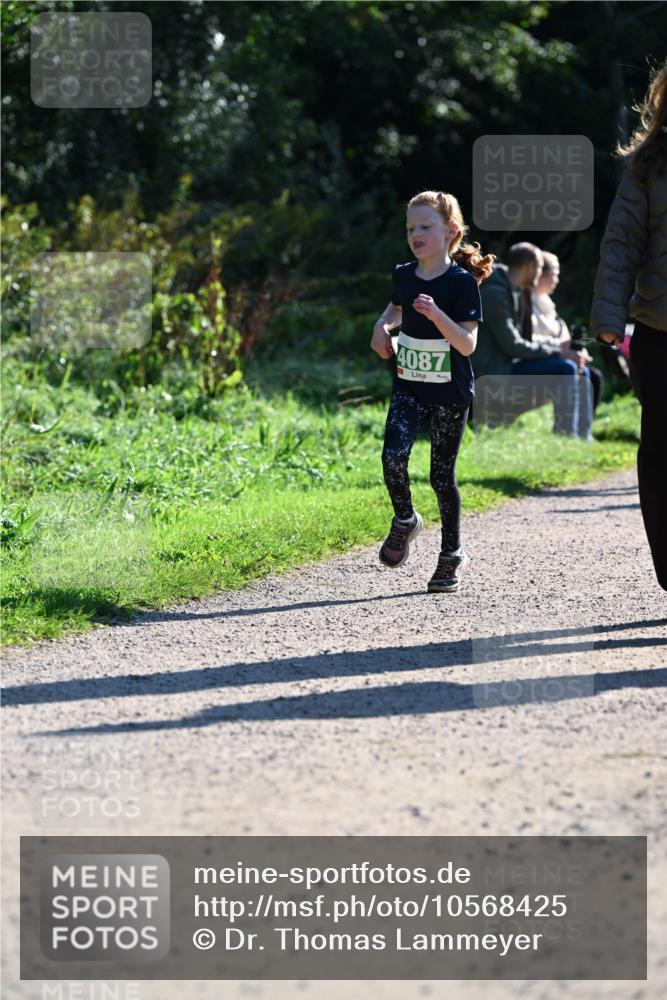 27.09.2026 - 35. Volkslauf durch das schöne Alstertal Dr. Thomas Lammeyer http://msf.ph/oto/10568425 27.09.2026 10:52:45 Laufen 4087 meine-sportfotos.de