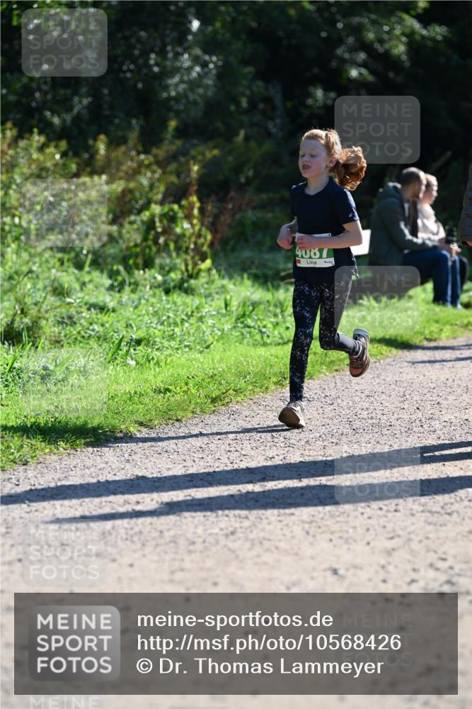 27.09.2026 - 35. Volkslauf durch das schöne Alstertal Dr. Thomas Lammeyer http://msf.ph/oto/10568426 27.09.2026 10:52:46 Laufen 4007 meine-sportfotos.de