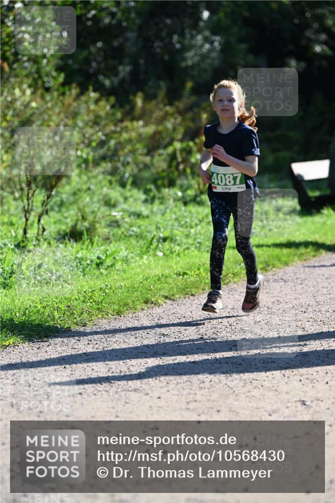27.09.2026 - 35. Volkslauf durch das schöne Alstertal Dr. Thomas Lammeyer http://msf.ph/oto/10568430 27.09.2026 10:52:46 Laufen 4087 meine-sportfotos.de