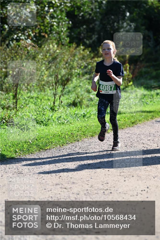27.09.2026 - 35. Volkslauf durch das schöne Alstertal Dr. Thomas Lammeyer http://msf.ph/oto/10568434 27.09.2026 10:52:47 Laufen 4087 meine-sportfotos.de