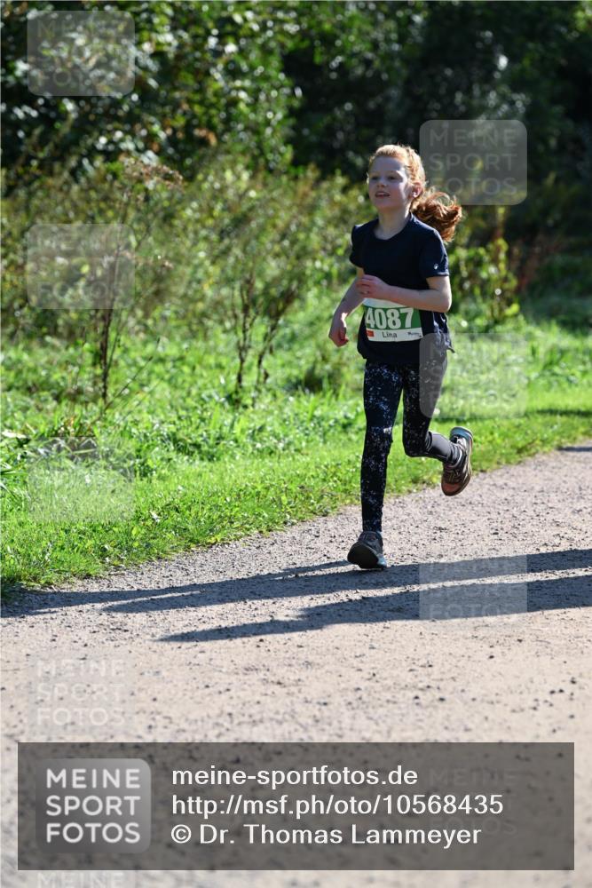 27.09.2026 - 35. Volkslauf durch das schöne Alstertal Dr. Thomas Lammeyer http://msf.ph/oto/10568435 27.09.2026 10:52:47 Laufen 4087 meine-sportfotos.de