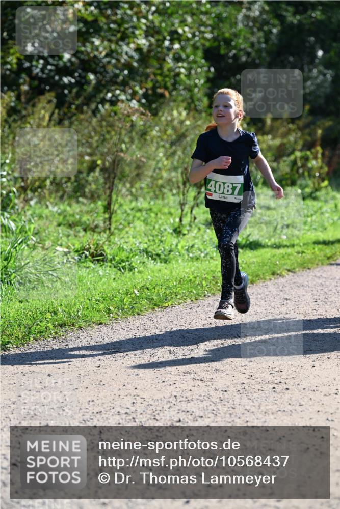 27.09.2026 - 35. Volkslauf durch das schöne Alstertal Dr. Thomas Lammeyer http://msf.ph/oto/10568437 27.09.2026 10:52:47 Laufen 4087 meine-sportfotos.de