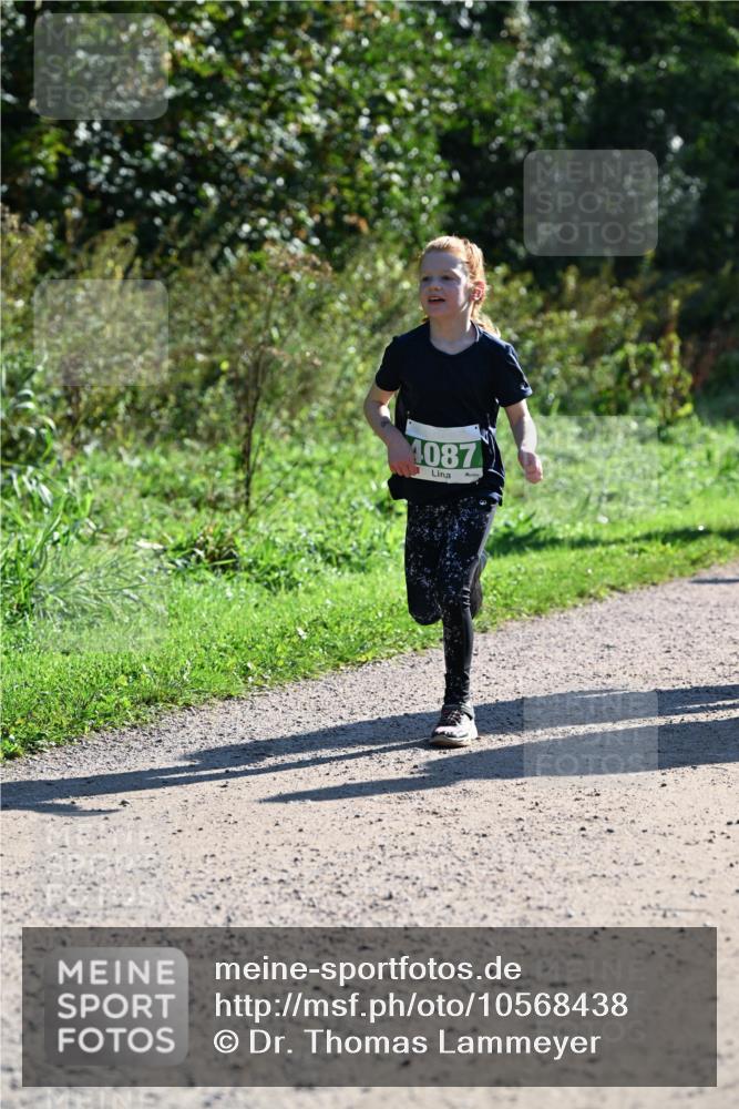27.09.2026 - 35. Volkslauf durch das schöne Alstertal Dr. Thomas Lammeyer http://msf.ph/oto/10568438 27.09.2026 10:52:47 Laufen 4087 meine-sportfotos.de