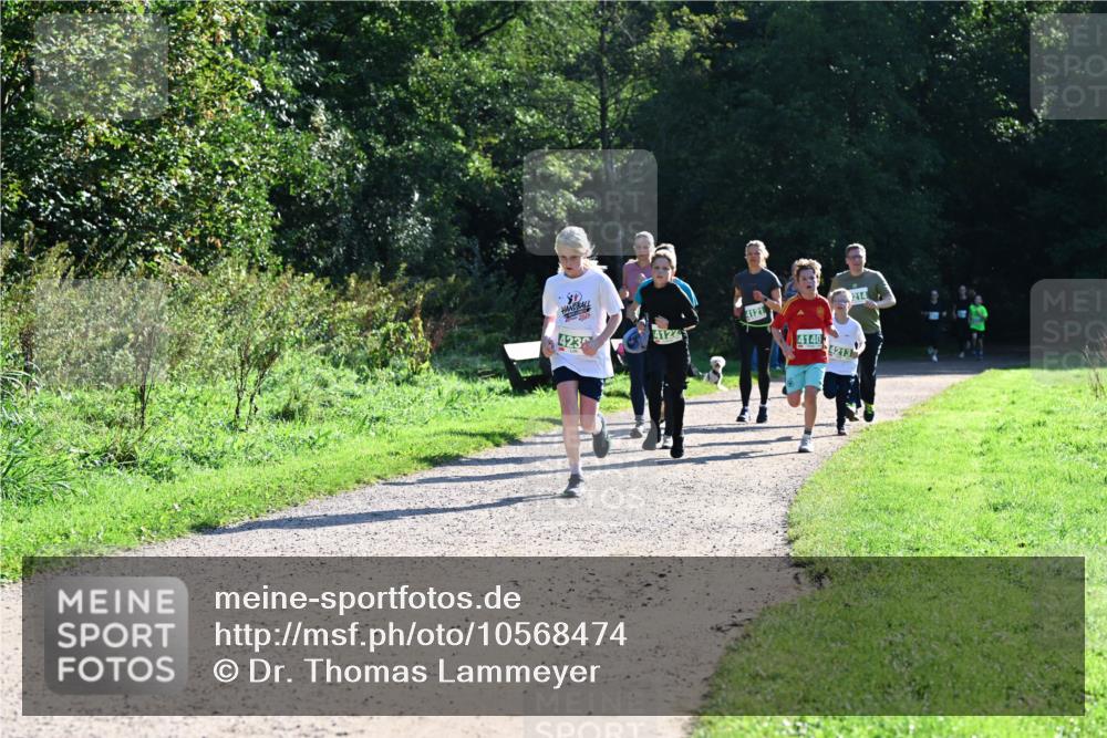 27.09.2026 - 35. Volkslauf durch das schöne Alstertal Dr. Thomas Lammeyer http://msf.ph/oto/10568474 27.09.2026 10:53:09 Laufen 4232, 4121, 4140, 4213, 214 meine-sportfotos.de