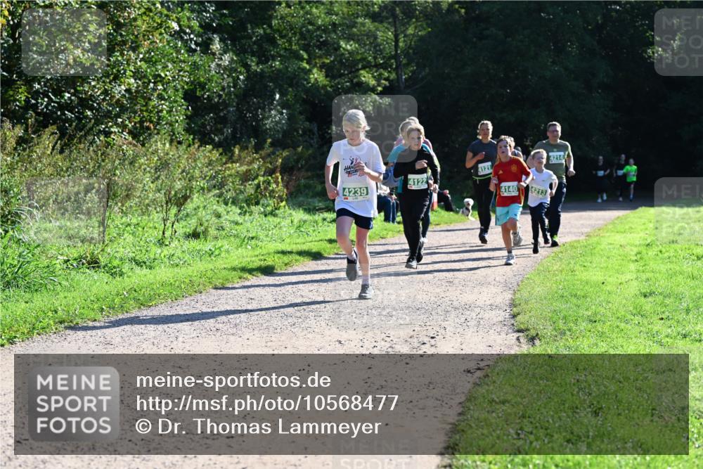 27.09.2026 - 35. Volkslauf durch das schöne Alstertal Dr. Thomas Lammeyer http://msf.ph/oto/10568477 27.09.2026 10:53:10 Laufen 4239, 4121, 4122, 4140, 4213, 4214 meine-sportfotos.de