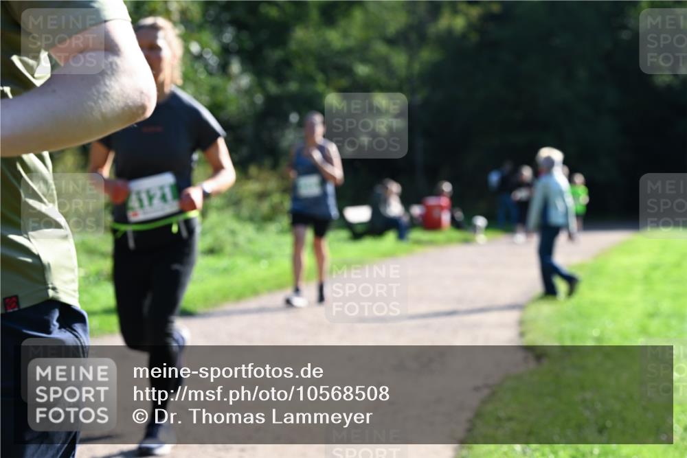 27.09.2026 - 35. Volkslauf durch das schöne Alstertal Dr. Thomas Lammeyer http://msf.ph/oto/10568508 27.09.2026 10:53:15 Laufen  meine-sportfotos.de