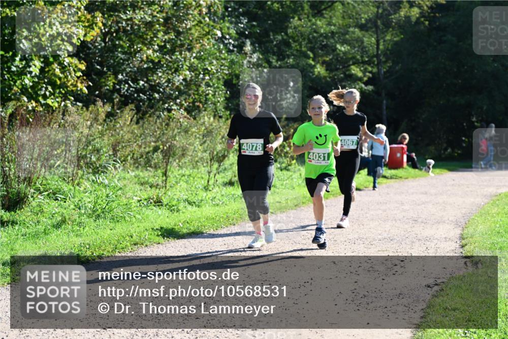 27.09.2026 - 35. Volkslauf durch das schöne Alstertal Dr. Thomas Lammeyer http://msf.ph/oto/10568531 27.09.2026 10:53:21 Laufen 4078, 4031, 4067 meine-sportfotos.de