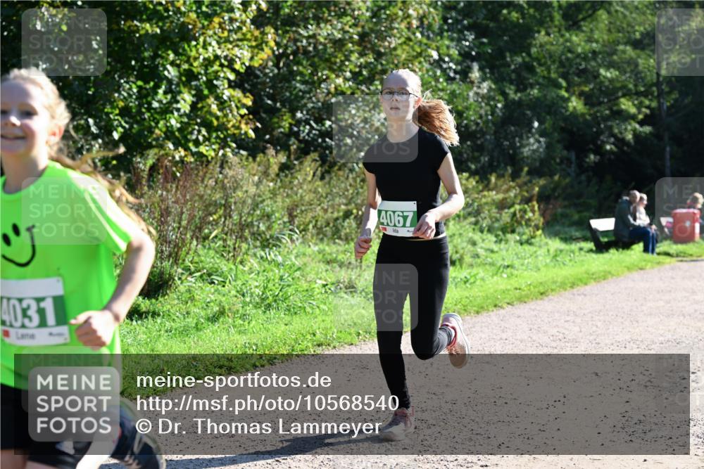 27.09.2026 - 35. Volkslauf durch das schöne Alstertal Dr. Thomas Lammeyer http://msf.ph/oto/10568540 27.09.2026 10:53:23 Laufen 4031, 4067 meine-sportfotos.de