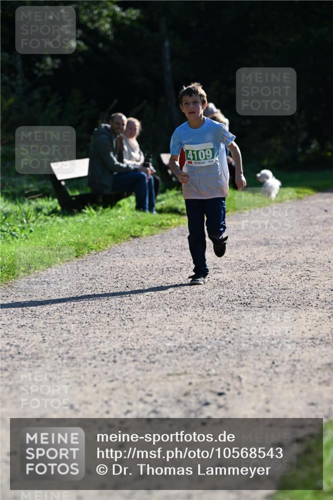 27.09.2026 - 35. Volkslauf durch das schöne Alstertal Dr. Thomas Lammeyer http://msf.ph/oto/10568543 27.09.2026 10:53:36 Laufen 4109 meine-sportfotos.de